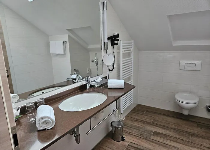 Zum Hollaender Hotel